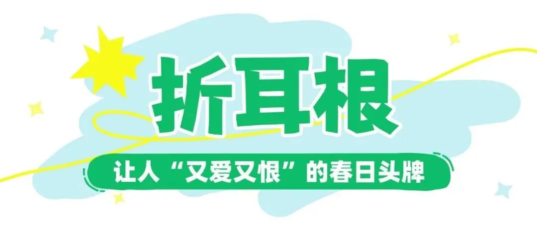 在达州渠县，春天最忙的不是眼睛，是嘴！
